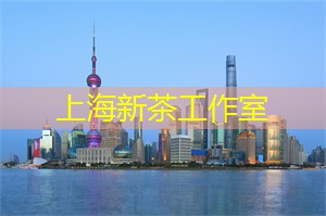 夜上海探险家：发现你从未见过的神奇景点！