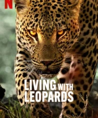  Living with Leopards